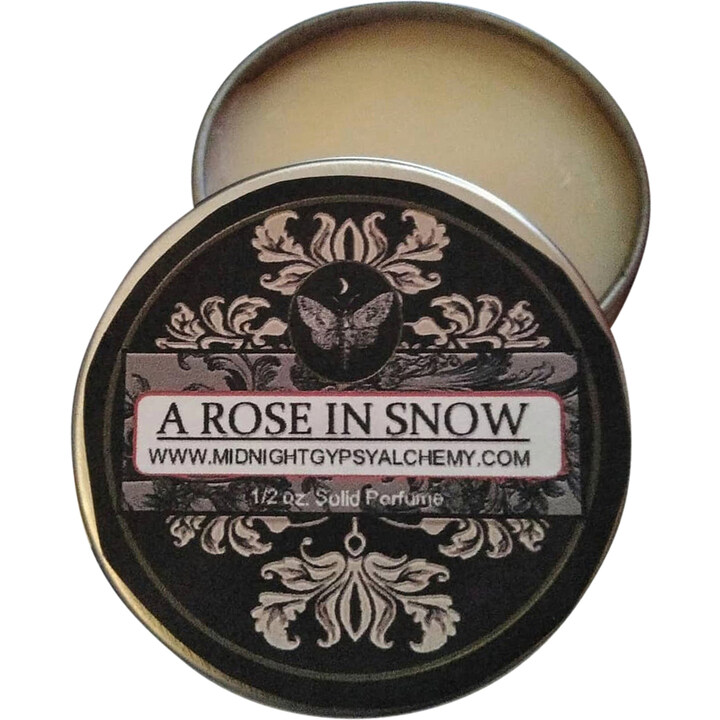 A Rose in Snow